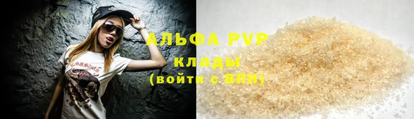 прущие грибы Алзамай
