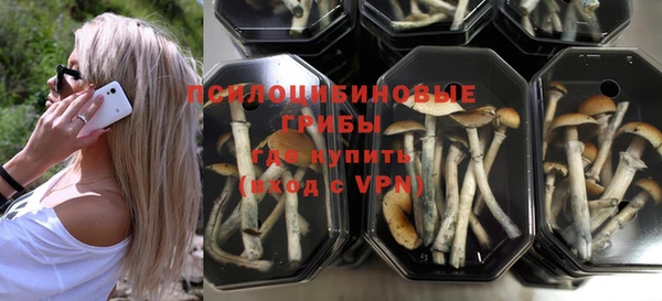 прущие грибы Алзамай
