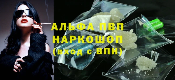 амф Корсаков