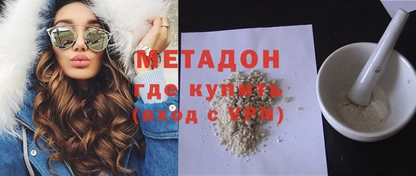 прущие грибы Алзамай