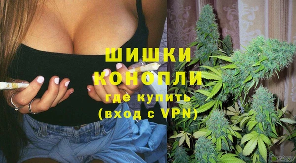 амф Корсаков